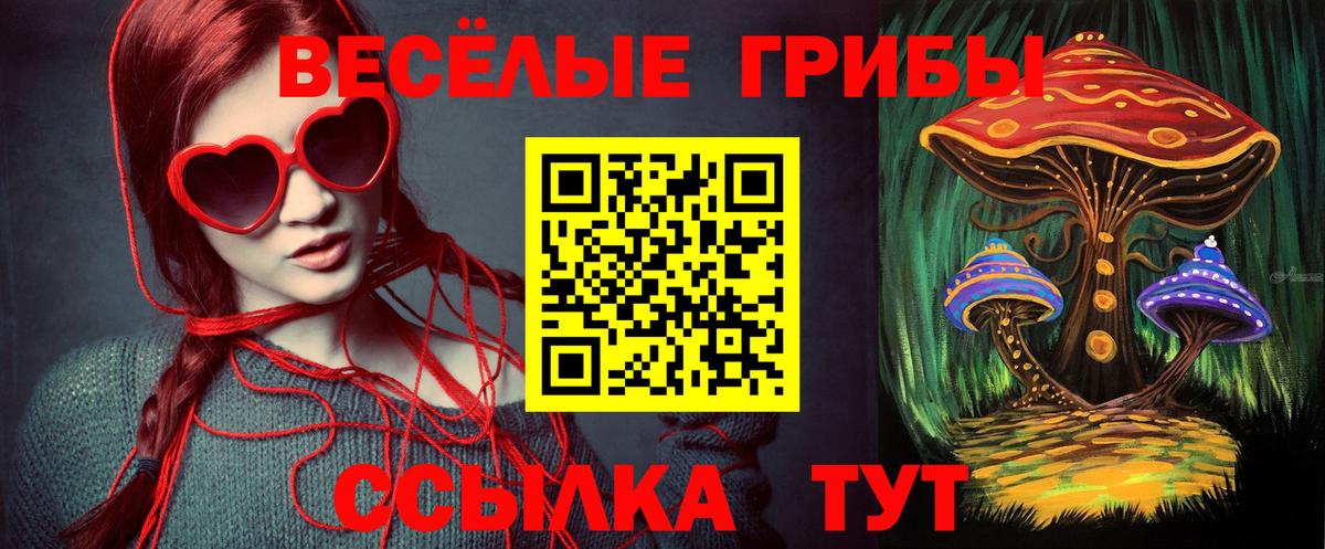 Псилоцибиновые грибы Psilocybine cubensis Добрянка